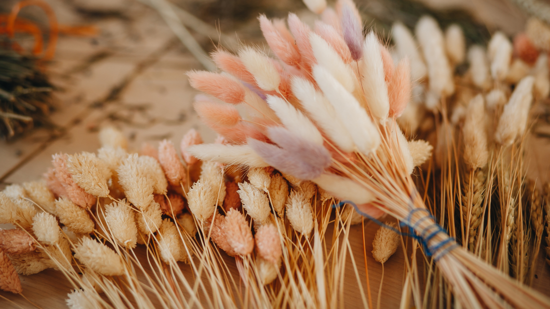 Dried flowers - A new trend in home decor that won't break the bank - Vendeo.co.uk