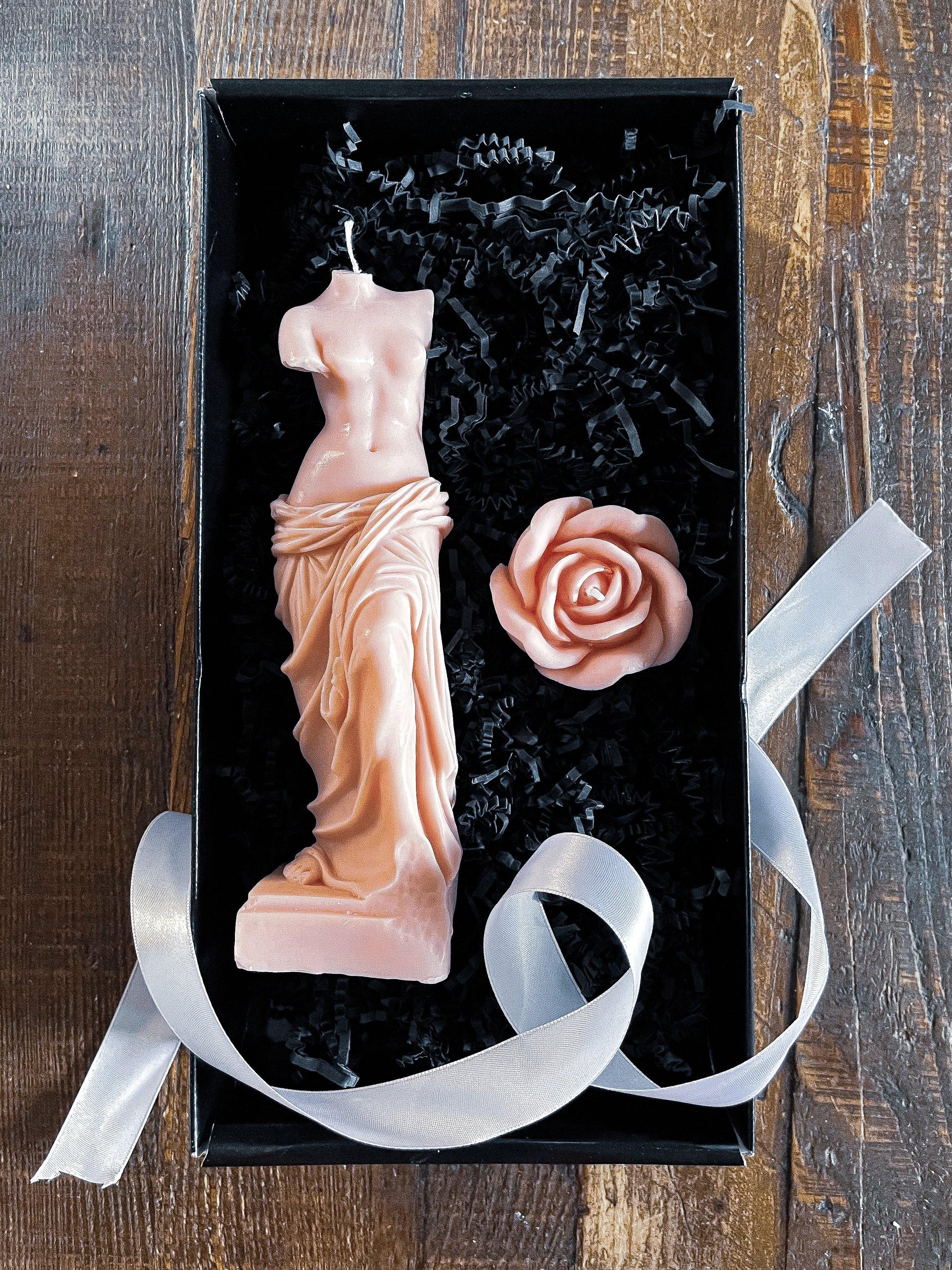 Large Venus de Milo and Medusa bundle - Vendeo.co.uk