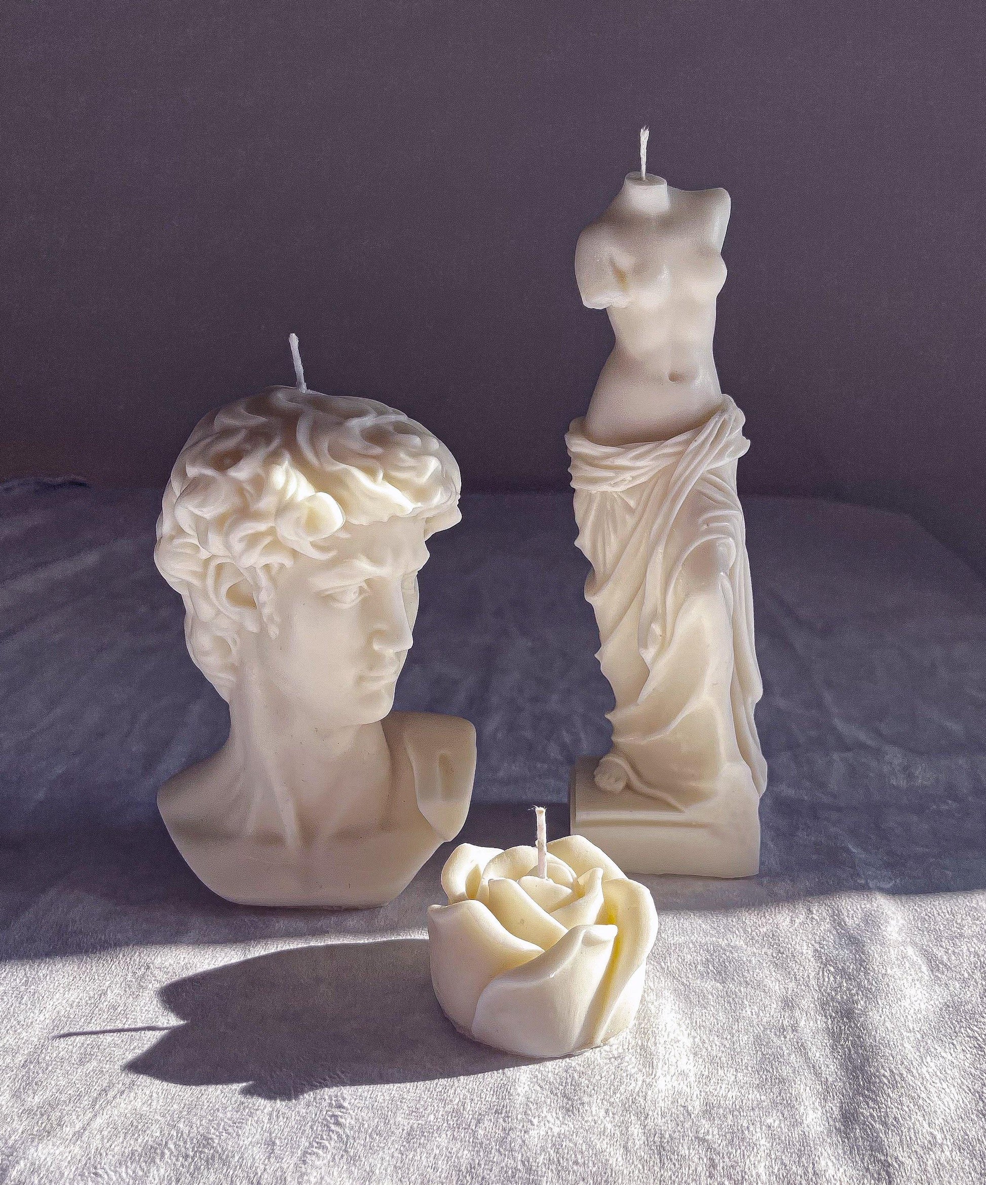 Large Venus de Milo and David Candle Bundle - Vendeo.co.uk